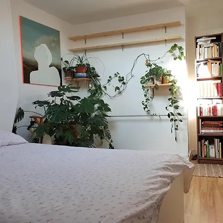 Of 20 M2 Near The Catacombes De Apartment